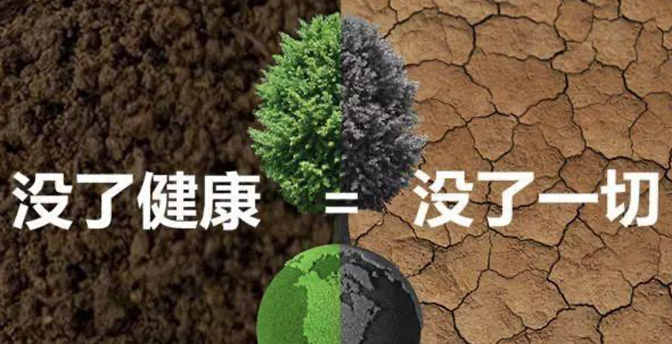 绿韵隆亿金银花领跑者