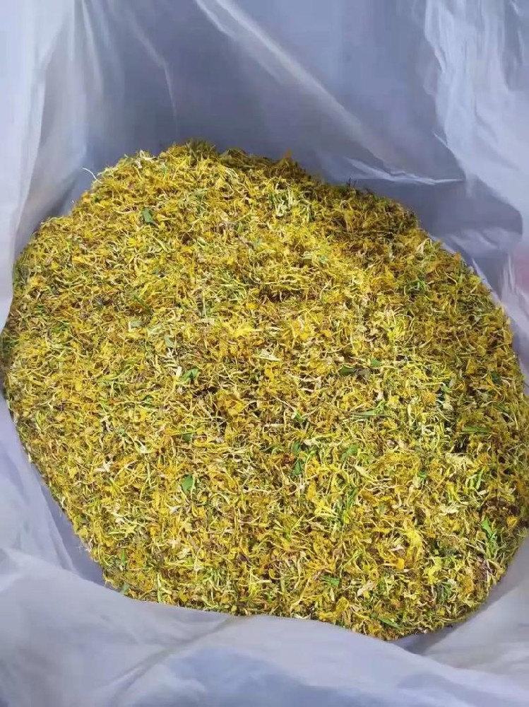 金银花可以自己种植吗